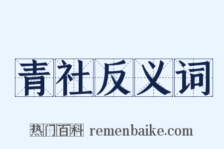 青社反义词是什么意思的图片